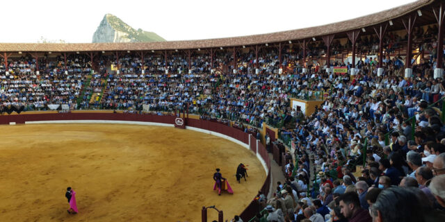 Contratas y Obras San Gregorio SA - Rehabilitación plaza de toros de la Línea de la Concepción - San Gregorio